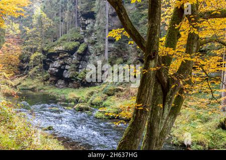 Edmundsklamm Elbsandsteingebirge böhmische Schweiz Foto Stock