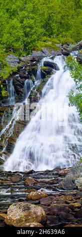 europa,svezia,provincia di jämtland,härjedalen,cascata di andersjönsfallet fjällnäs Foto Stock