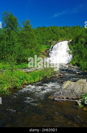 europa,svezia,provincia di jämtland,härjedalen,cascata di andersjönsfallet fjällnäs Foto Stock