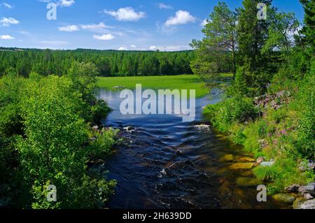 europa,svezia,provincia di jämtland,härjedalen,paesaggio fluviale vicino a tännäs Foto Stock