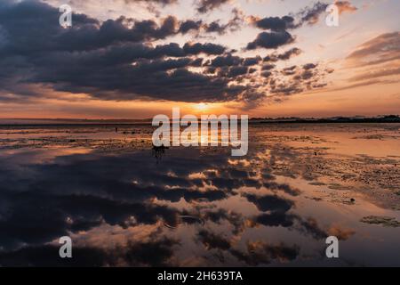 alba a federsee, bad buchau, le nuvole si riflettono nell'acqua Foto Stock