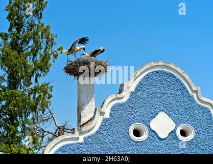 la cicogna bianca (ciconia ciconia) atterra su un nido di cicogna su una casa colonica del burgenland con un gabbiolo barocco, hufnagelhaus, apetlon, seewinkel, burgenland, austria Foto Stock