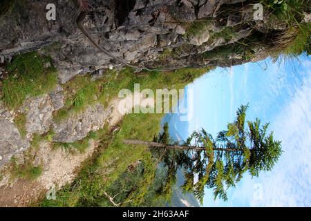 lakaiensteig, escursione sul fischbachalm fino alla soiernhaus, weg, krün, isar valley, werdenfelser land, alta baviera, baviera, germania Foto Stock