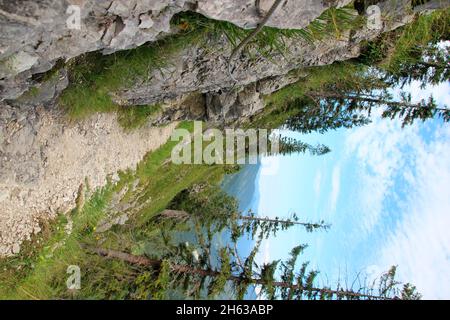 lakaiensteig, escursione sul fischbachalm fino alla soiernhaus, weg, krün, isar valley, werdenfelser land, alta baviera, baviera, germania Foto Stock