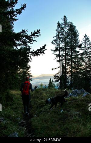 nella rugiada precoce ci spostiamo verso le montagne, escursione mattutina al grünkopf, donna con cane guarda nella valle, europa, germania, baviera, alta baviera, werdenfelser terra, valle isar, mittenwald Foto Stock