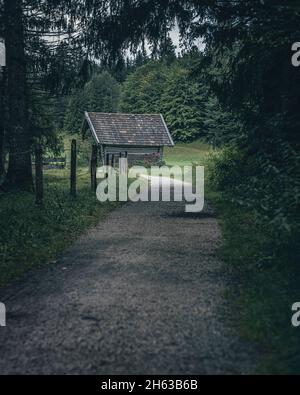 sentiero escursionistico nella foresta con capanna sulla radura Foto Stock