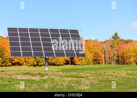 Monitoraggio pannelli solari in un campo circondato da alberi decidui al picco del foll fogliame in una giornata di sole Foto Stock
