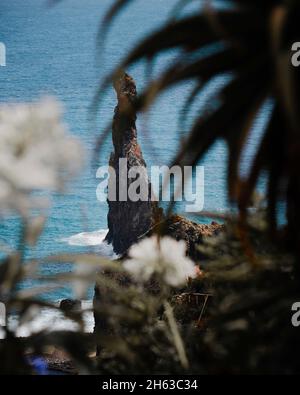 bizzarre formazioni rocciose sull'isola di madeira. fiori in primo piano. Foto Stock