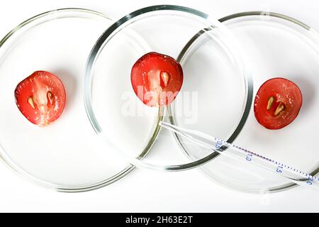 Metà delle uve in un piatto di Petri. Concetto cosmetico di cosmetologia. Foto Stock