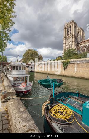 francia,parigi,ile de la cite,notre dame Foto Stock