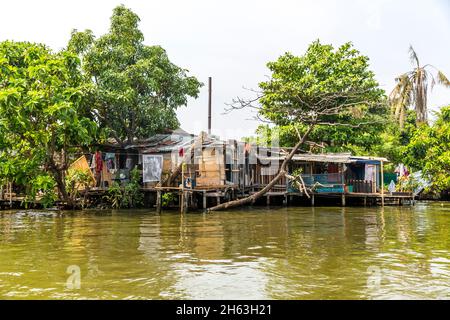 capanne residenziali, khlongfahrt sui canali di bangkok, bangkok, thailandia, asia Foto Stock