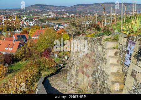 germania, baden-wuerttemberg, kernen nel remstal, muro di pietra a secco sul burgsteige sotto il yburg, vista su stetten nel remstal. Foto Stock