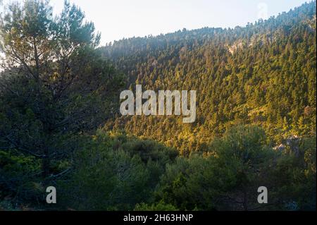 escursioni intorno a mirador de luis ceballos per trovare il posto migliore per godere della spettacolare alba nel parco nazionale della sierra de las nieves, vicino yungquera, andalusia, spagna Foto Stock