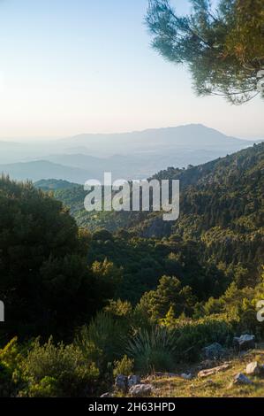 escursioni intorno a mirador de luis ceballos per trovare il posto migliore per godere della spettacolare alba nel parco nazionale della sierra de las nieves, vicino yungquera, andalusia, spagna Foto Stock