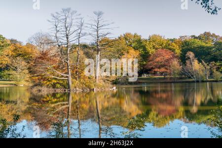 Fall colors in trees Stock Photo