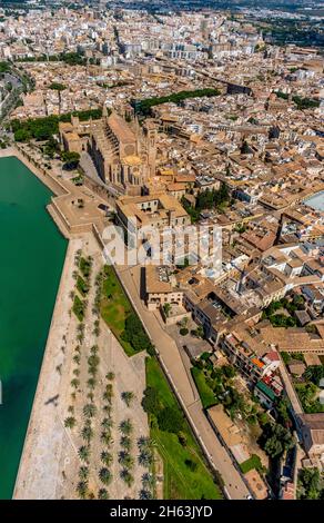 vista aerea, santa iglesia catedral de mallorca chiesa, palma cattedrale, parc de la mar, palma, maiorca, isole baleari, spagna Foto Stock