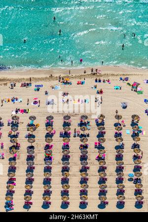 foto aerea,cala anguila-cala mendia,baia e spiaggia s'estany d'en mas,manacor,mallorca,isole baleari,spagna,europa Foto Stock