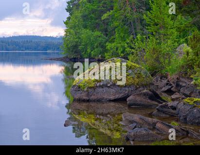 europa,svezia,provincia di jämtland,isola del pino su storsjön,riserva naturale di norderö,pietre ricoperte di lichen Foto Stock