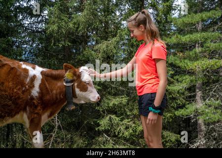 anterselva, provincia di bolzano, alto adige, italia. una ragazza carezza un vitello alla steinzger alm Foto Stock