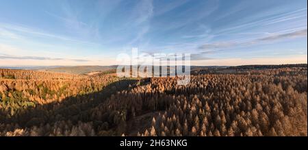 germania,turingia,masserberg,heubach,montagne,valli,grandi aree di alberi morti,ambiente rennsteig,panoramica,vista aerea,panorama Foto Stock