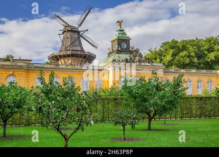 nuove camere nel parco del palazzo di sanssouci con mulino storico, potsdam, brandeburgo, germania Foto Stock