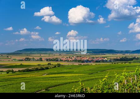 germania,baviera,bassa franconia,regione vinicola della franconia,willanzheim,distretto hüttenheim,paesaggio del vino con vista sulla città verso schwanberg Foto Stock