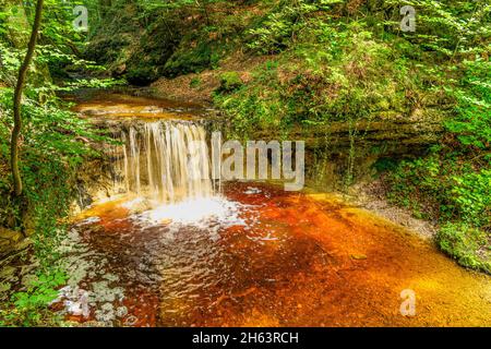 germania,baviera,alta baviera,distretto di ebersberg,grafing,distretto di straussdorf,schauerachgraben,cascata Foto Stock