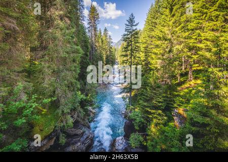 la gola del torrente travignolo attraversa la foresta di paneveggio, il parco naturale di paneveggio pallido di san martino, predazzo, trento, trentino, italia Foto Stock