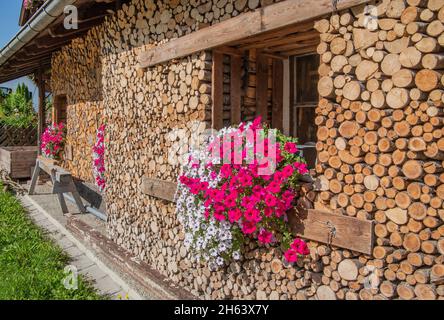 finestra con flower box sul muro della casa con legna da ardere accatastata, ohlstadt, loisachtal, das blaue terra, alta baviera, baviera, germania Foto Stock