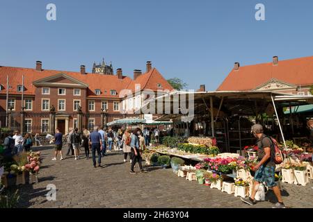 mercato sulla domplatz con vista della diocesi di munster, vicariato episcopale generale, munster, munsterland, renania settentrionale-vestfalia, germania Foto Stock