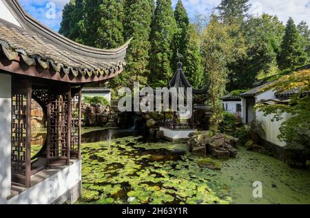 bochum, nord reno-westfalia, germania - giardino cinese, giardino botanico della ruhr-universitaet bochum. il giardino cinese qian yuan, costruito nel 1990, un classico giardino scolastico cinese del sud, è un dono dell'università partner, l'università tongji di shanghai. come parte della ruhr università bochum, il giardino botanico è principalmente utilizzato per la ricerca e l'insegnamento, ma anche per educazione e ricreazione del pubblico. Foto Stock