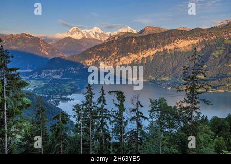 lago di thun con il triontasso eiger 3967m, mönch 4107m e jungfrau 4158m in serata sole, beatenberg, alpi bernesi, oberland bernese, cantone berna, svizzera Foto Stock