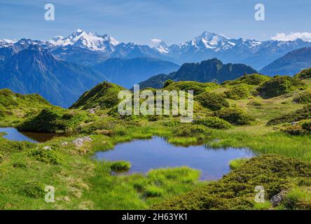 piccolo lago di montagna con panorama sommitale da dom 4545m, matterhorn 4478m e weisshorn 4505m dalla regione aletsch escursioni, riederalp, alpi del vallese, vallese, svizzera Foto Stock