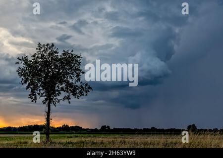 nuvole tempesta che si radunano su un campo al tramonto Foto Stock