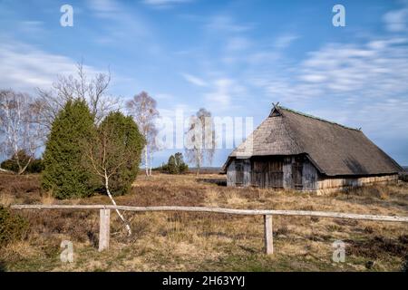 vecchio fienile nella brughiera di lueneburg in primavera Foto Stock