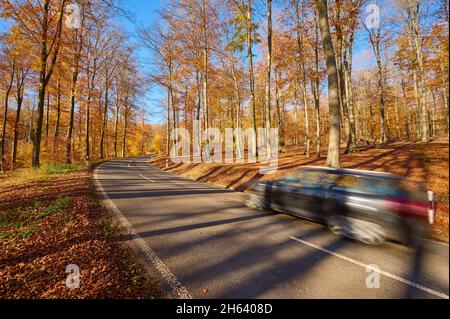 strada,foresta,traffico,autunno,altenbuch,spessart,baviera,germania Foto Stock