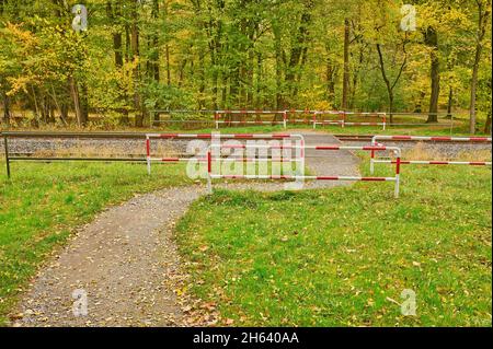 percorso del parco,attraversamento del livello,lucchetto,autunno,schönbusch,aschaffenburg,baviera,germania Foto Stock