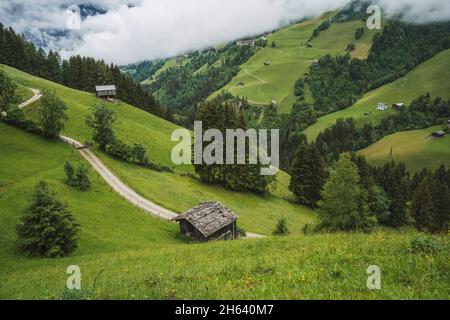 bella idilliaca natura verde prato paesaggio delle alpi montagne gamma in estate giorno. austria foto aerea. Foto Stock