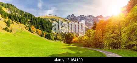 einödsbach vicino a obersdorf con vista sulle alte alpi di allgäu Foto Stock