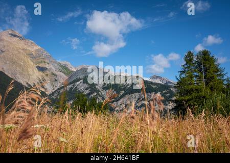 paesaggio di montagna terra pov con erba gialla e bella vista dall'alto - cielo blu con nuvole - ambiente e natura panorama all'aperto Foto Stock