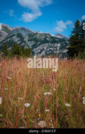paesaggio di montagna terra pov con erba gialla e bella vista dall'alto - cielo blu con nuvole - ambiente e natura panorama all'aperto Foto Stock