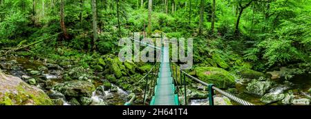 ponte sospeso sulla buchberger leite nella foresta bavarese Foto Stock