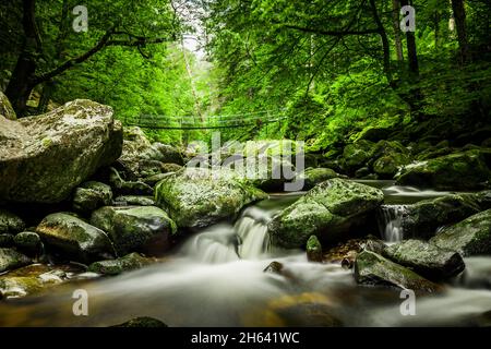 ponte sospeso sulla buchberger leite nella foresta bavarese Foto Stock