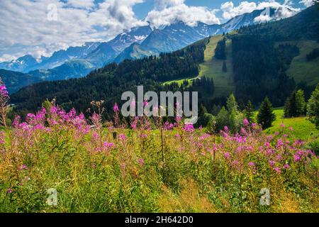 Bella vista delle colline erbose sotto il cielo blu nuvoloso in Francia Foto Stock