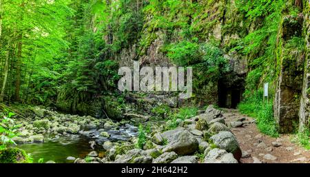 sentiero escursionistico sulla buchberger leite nella foresta bavarese Foto Stock