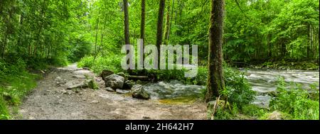 sentiero escursionistico sulla buchberger leite nella foresta bavarese Foto Stock