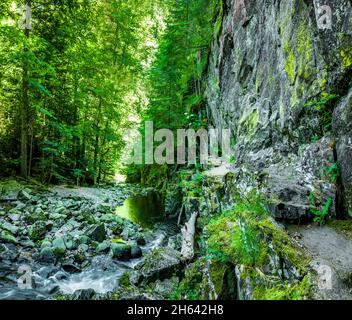 sentiero escursionistico sulla buchberger leite nella foresta bavarese Foto Stock