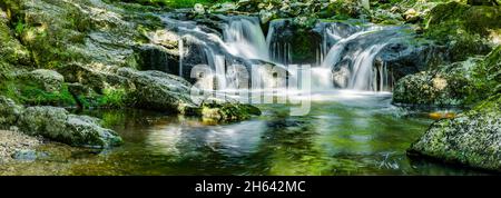 wolfensteiner ohe nel buchberger leite nella foresta bavarese Foto Stock