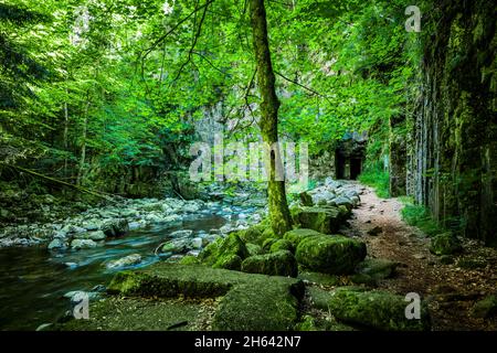 sentiero escursionistico sulla buchberger leite nella foresta bavarese Foto Stock