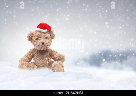 piccolo orsacchiotto peluche nella neve Foto Stock